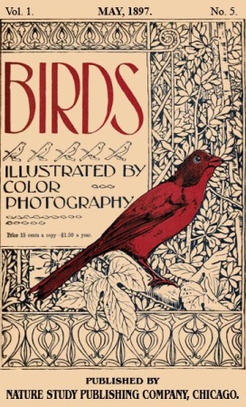 Birds Illustrated by Color Photograhy Vol 1 May, 1897 No 5 - Cover