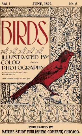 Birds Illustrated by Color Photograhy Vol 1 June, 1897 No 6 - Cover