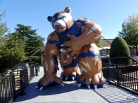Brody the Bruin - BJU Homecoming 2018